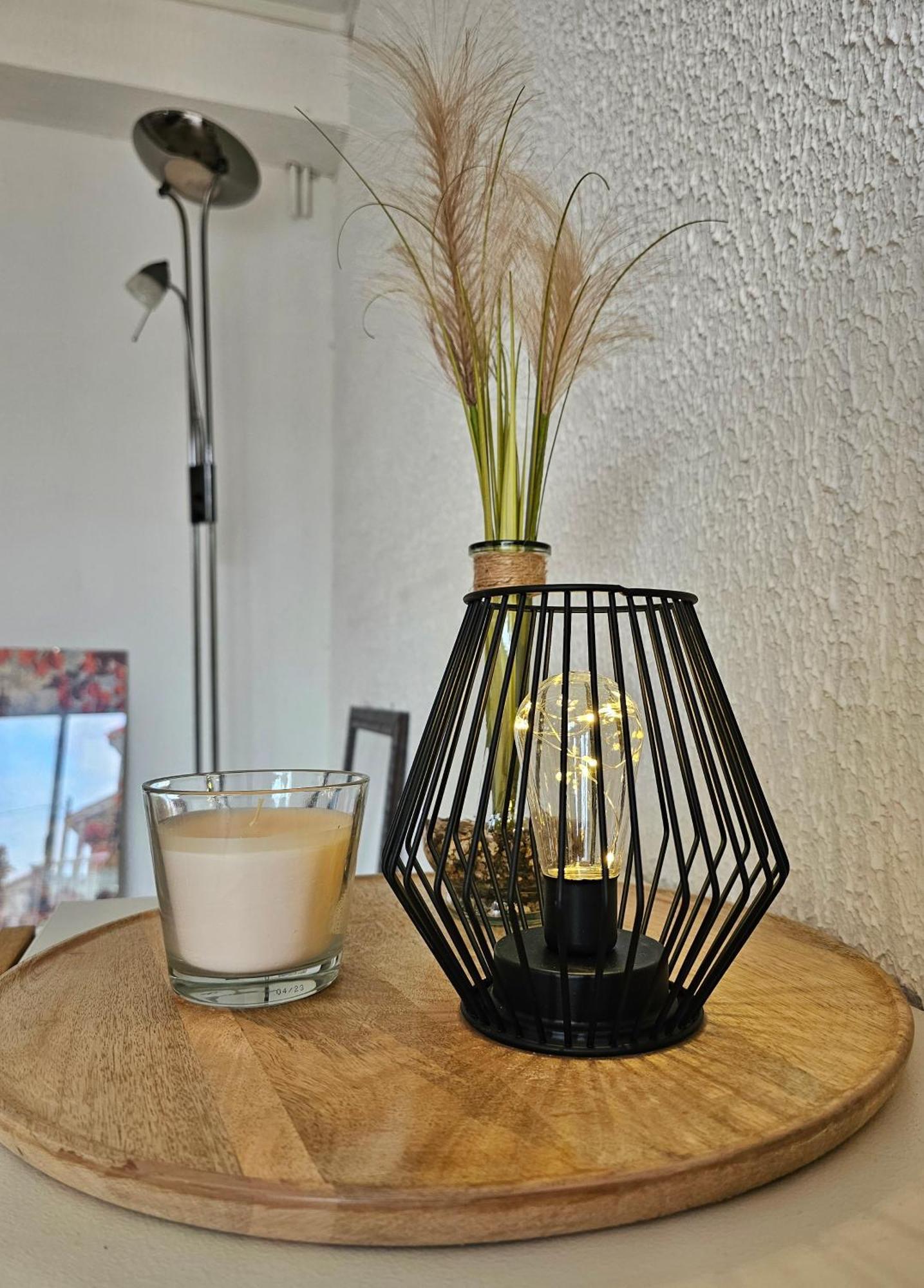 Appartement Lumineux Et Calme En Rez-De-Jardin Castanet-Tolosan ภายนอก รูปภาพ