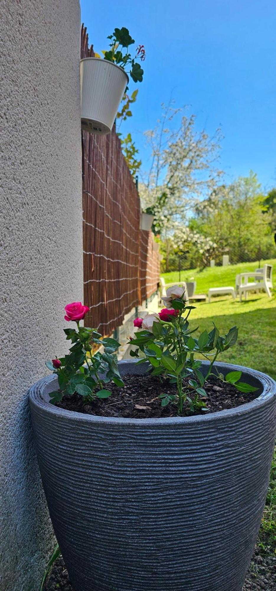 Appartement Lumineux Et Calme En Rez-De-Jardin Castanet-Tolosan ภายนอก รูปภาพ